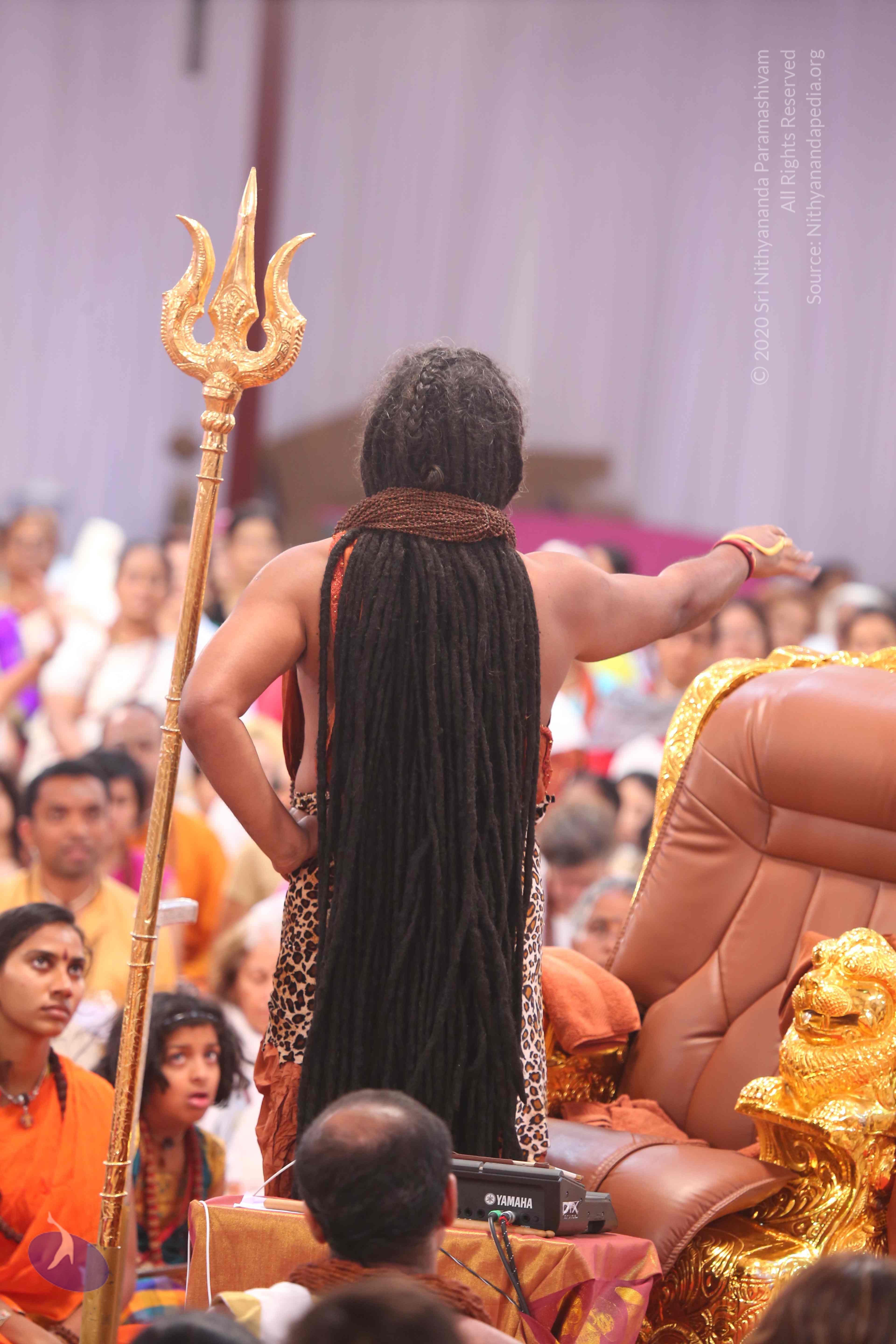 20161204_Photo_1111_IMGL5527_CMP_WM